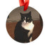 Personalized Pet Memorial Ornament, Custom Pet Ornament, Loss of Pet Gift, Holiday Remembrance Decoration