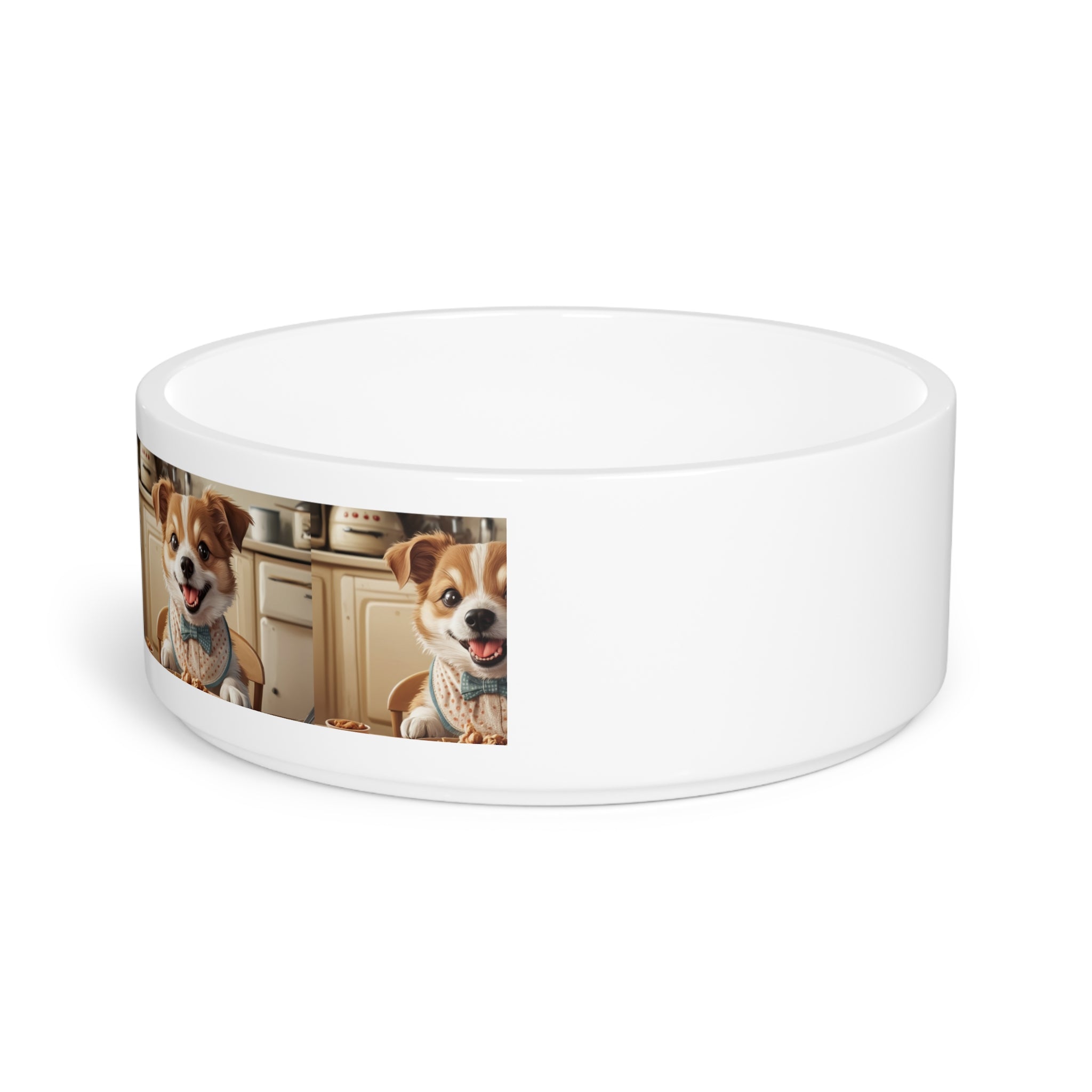 Pet Bowl